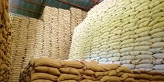 Bags of maize in storage