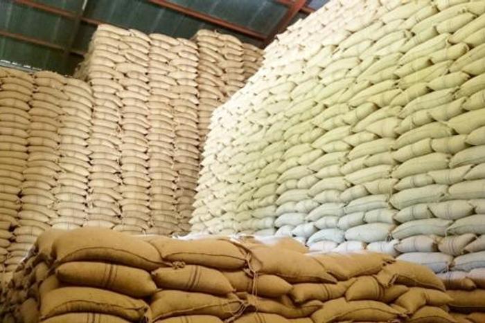 Bags of maize in storage