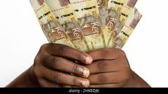 Kenyan shilling notes