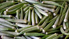 Harvested okra pods [Image Credit: Quang Nguyen Vinh]