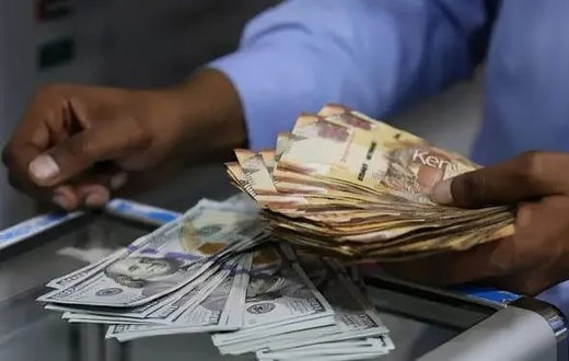 A person with Kenyan currency notes and U.S. dollars
