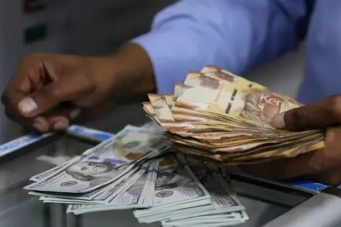 A person with Kenyan currency notes and U.S. dollars