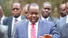 Former Interior CS Fred Matiang'i