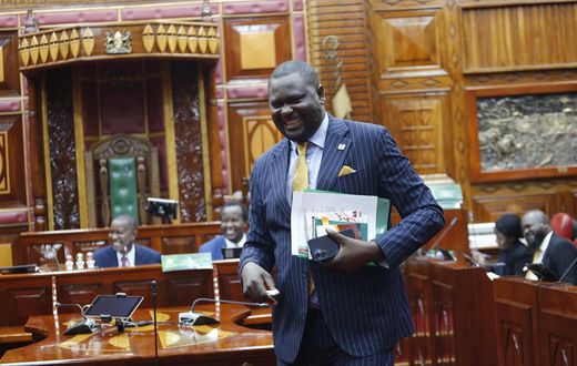 Mbeere North MP Geoffrey Kariuki Ruku at the National Assembly on May 24, 2023