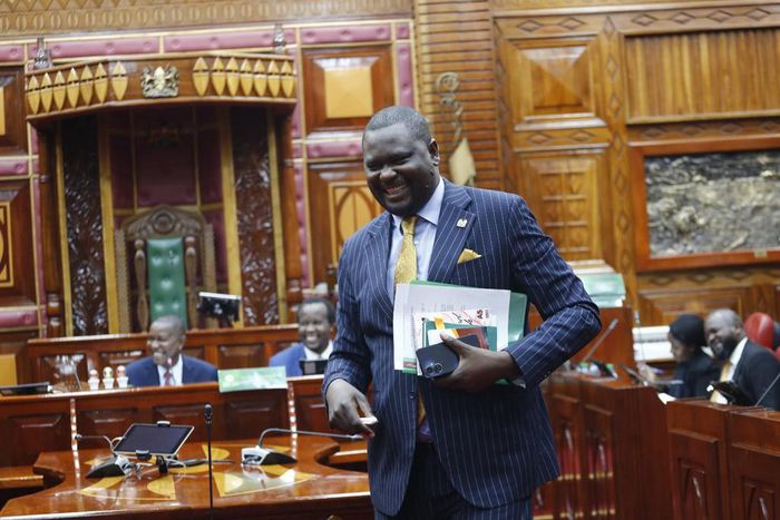 Mbeere North MP Geoffrey Kariuki Ruku at the National Assembly on May 24, 2023