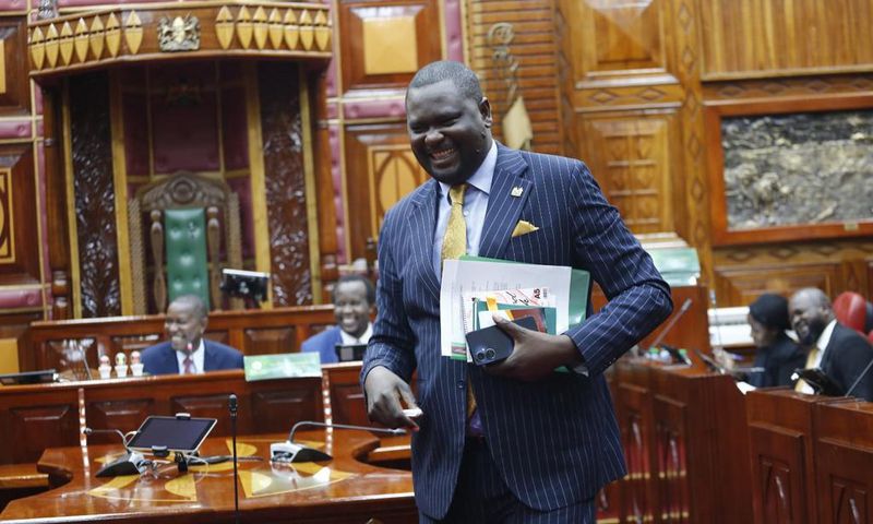 Mbeere North MP Geoffrey Kariuki Ruku at the National Assembly on May 24, 2023