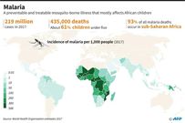 Sub-Saharan Africa bears by far the greatest malaria burden with WHO data showing the region accounted for 90 percent of related deaths in 2018