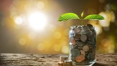 Sacco savings