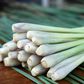 Lemongrass