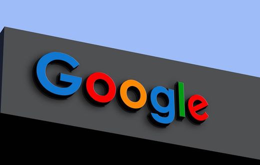 google reveals the most searched sustainability topics