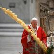 Pope Francis celebrated Palm Sunday mass behind closed doors at St Peter's on Sunday