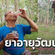 52-year-old businessman drinks crocodile blood 2 times daily, says it gives good health