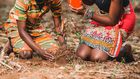Couple watering a plant together. Photo by Safari Consoler
