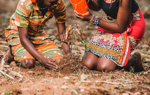 Couple watering a plant together. Photo by Safari Consoler