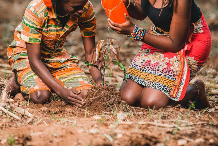 Couple watering a plant together. Photo by Safari Consoler