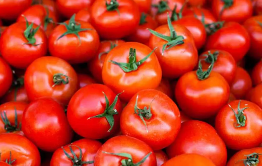 Here is why tomatoes and pepper are expensive right now [healthline]