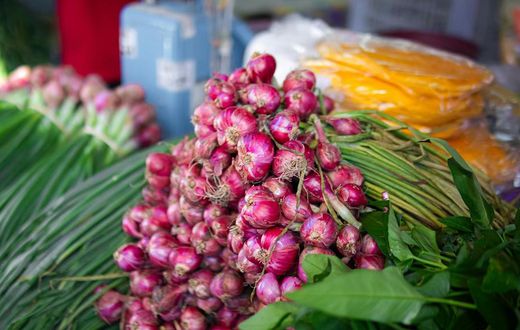 Bunches of red onion with scallions [Image Credit: Ian Panelo]