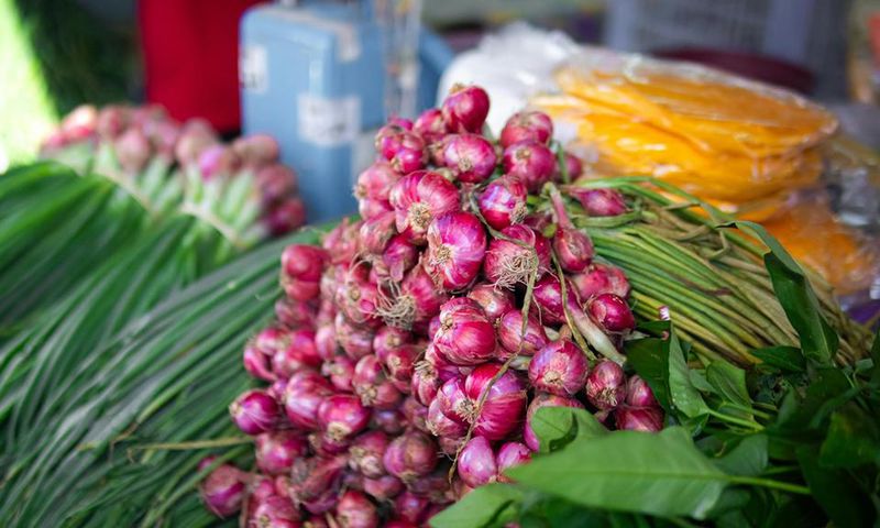 Bunches of red onion with scallions [Image Credit: Ian Panelo]