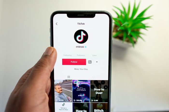 TikTok download tips/Pixabay
