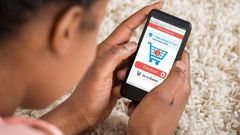 A person shopping for items online