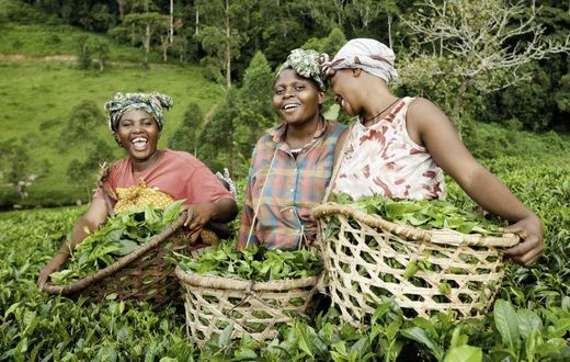 Female farmers in Africa
