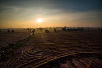 A large piece of land