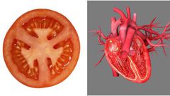 tomatoes  [Healthista]