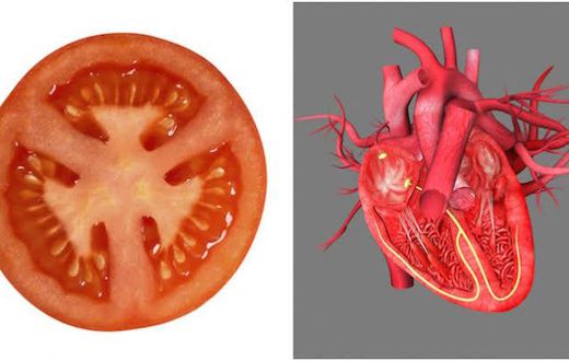 tomatoes  [Healthista]