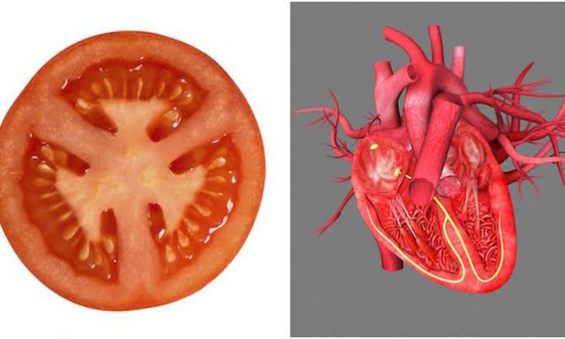 tomatoes  [Healthista]