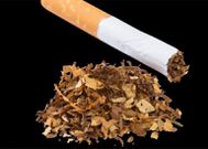 Shock as women reveal why they are applying tobacco on their private parts