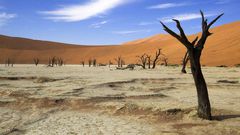 Climate Change in Africa