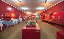 Visitors can see everything from traditional Ethiopian textiles and jewelry to musical instruments and religious artifacts.