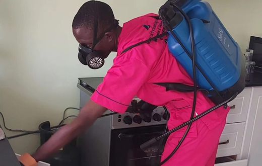 Professional fumigation in a home in Nairobi [Image Credit: Solicity Shine Cleaning Limited]