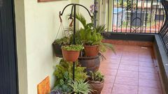 A balcony with plants