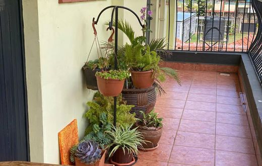 A balcony with plants