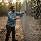 Install strong, well-maintained fences to keep wild animals out