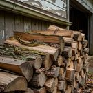 Woodpiles can offer hiding spots
