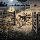 Predators may be drawn to domestic animals